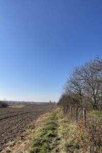 Земельна ділянка під житлову забудову в Городищі, площа 0.75 сотки фото 2