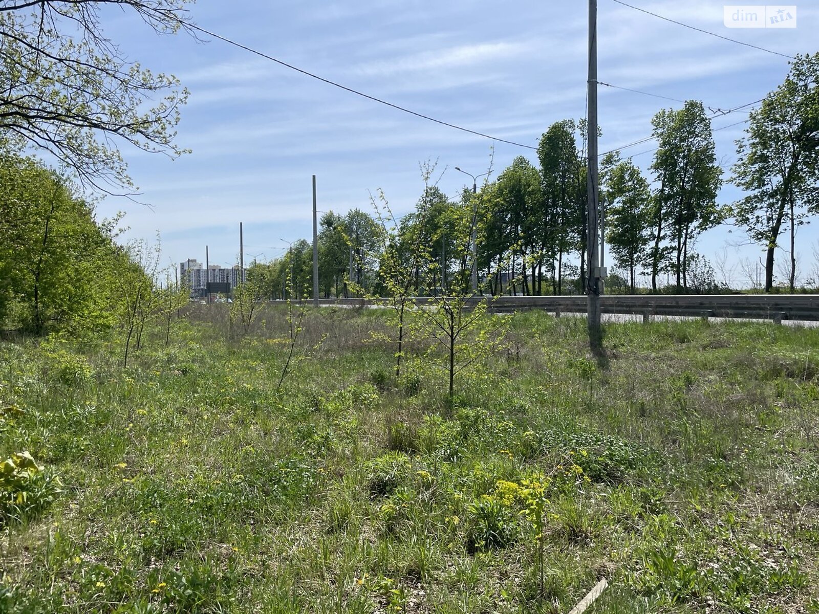 Земельна ділянка під житлову забудову в Городку, площа 0.2287 Га фото 1 Земельна ділянка під житлову забудову в Городку, площа 0.2287 Га фото 1