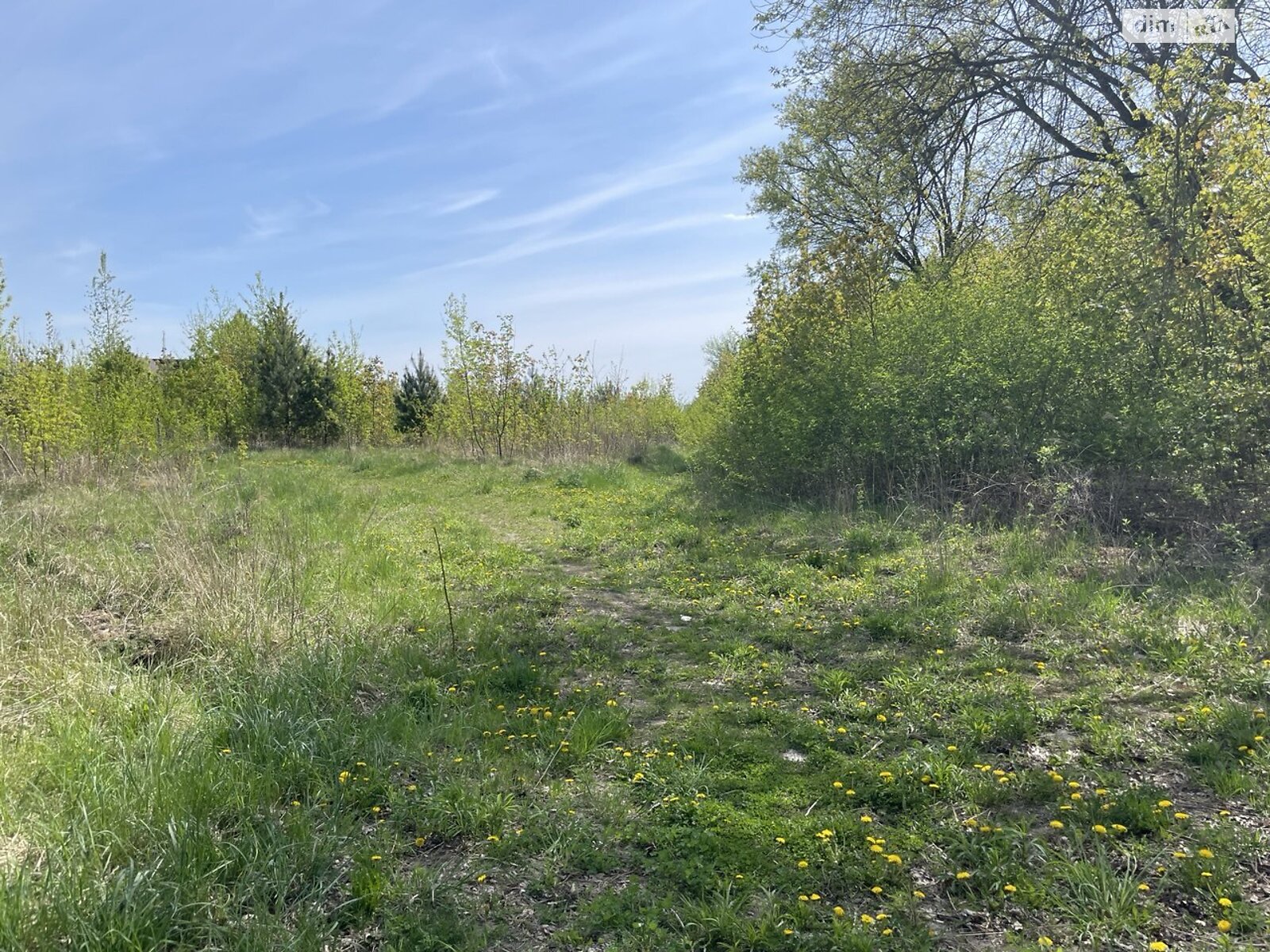Земельна ділянка під житлову забудову в Городку, площа 0.2287 Га фото 1 Земельна ділянка під житлову забудову в Городку, площа 0.2287 Га фото 1