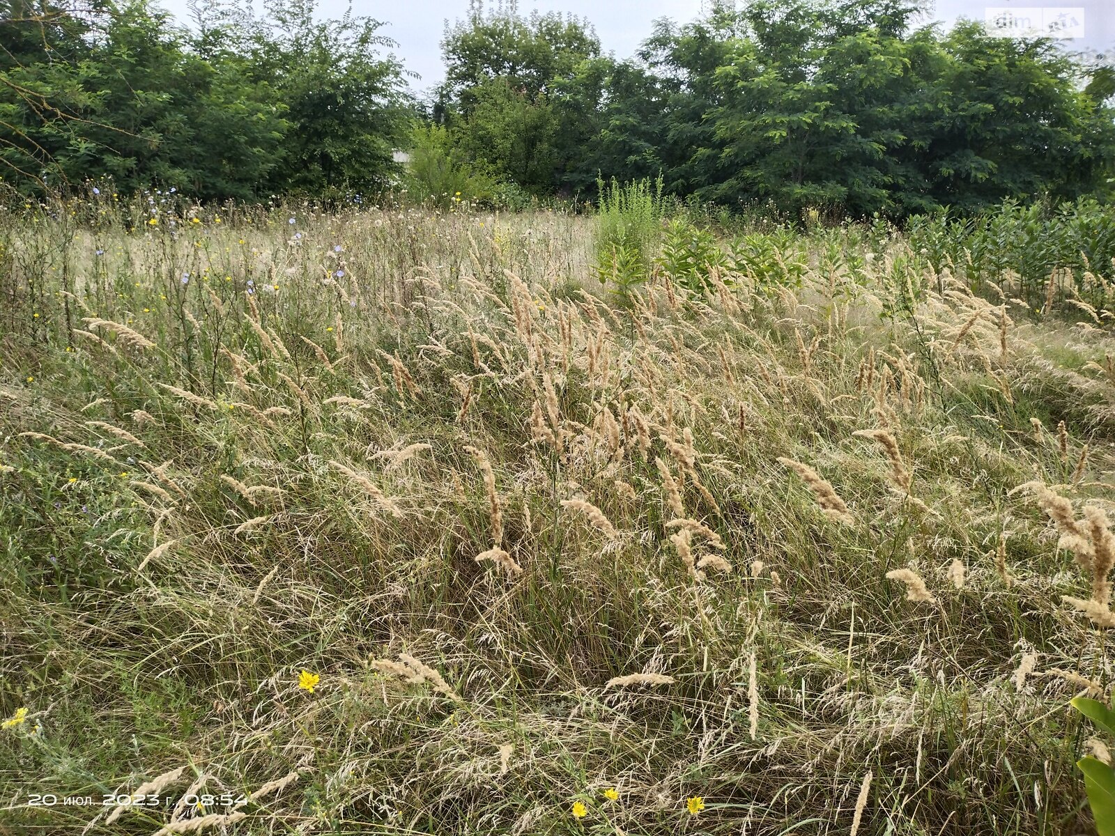 Земельна ділянка під житлову забудову в Горянівському, площа 15 соток фото 1 Земельна ділянка під житлову забудову в Горянівському, площа 15 соток фото 1