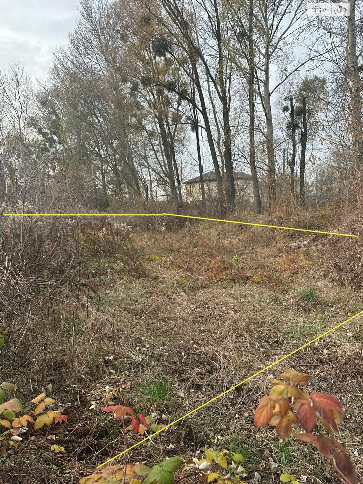 Земельный участок под жилую застройку в Гостомеле, площадь 8 соток фото 1 Земельный участок под жилую застройку в Гостомеле, площадь 8 соток фото 1