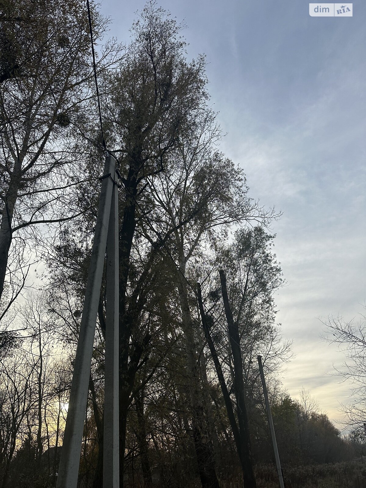 Земельный участок под жилую застройку в Гостомеле, площадь 8 соток фото 1 Земельный участок под жилую застройку в Гостомеле, площадь 8 соток фото 1