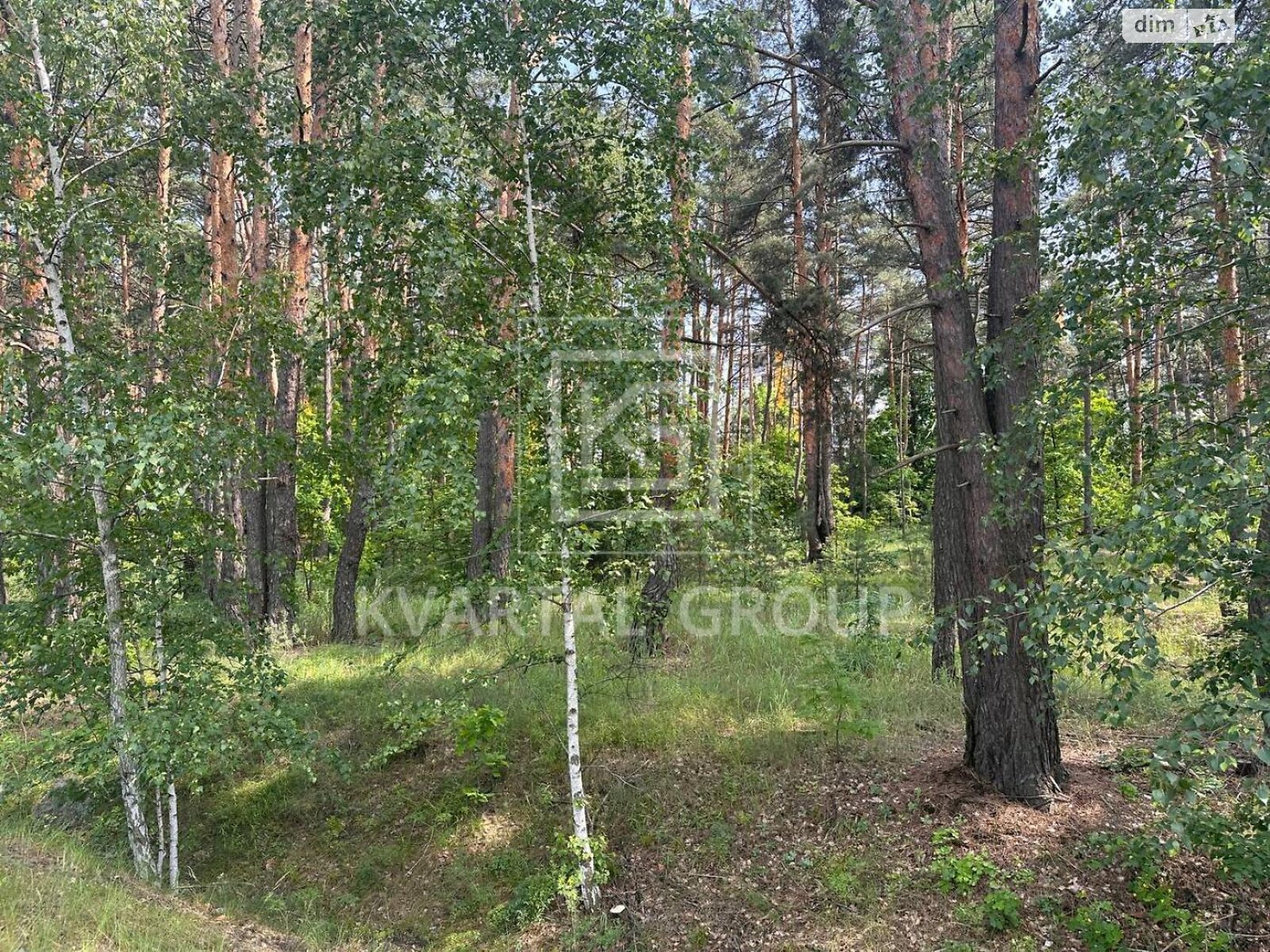 Земельный участок под жилую застройку в Гостомеле, площадь 15 соток фото 1