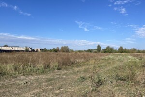 Земельный участок под жилую застройку в Гостомеле, площадь 33.94 сотки фото 2