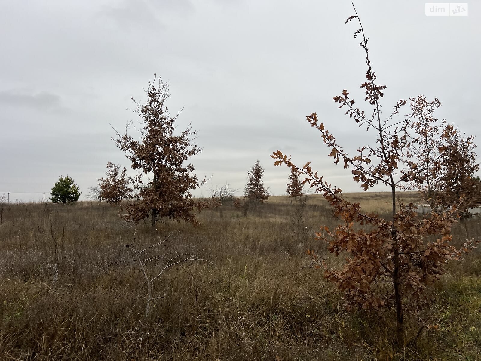 Земельный участок под жилую застройку в Гостомеле, площадь 12 соток фото 1