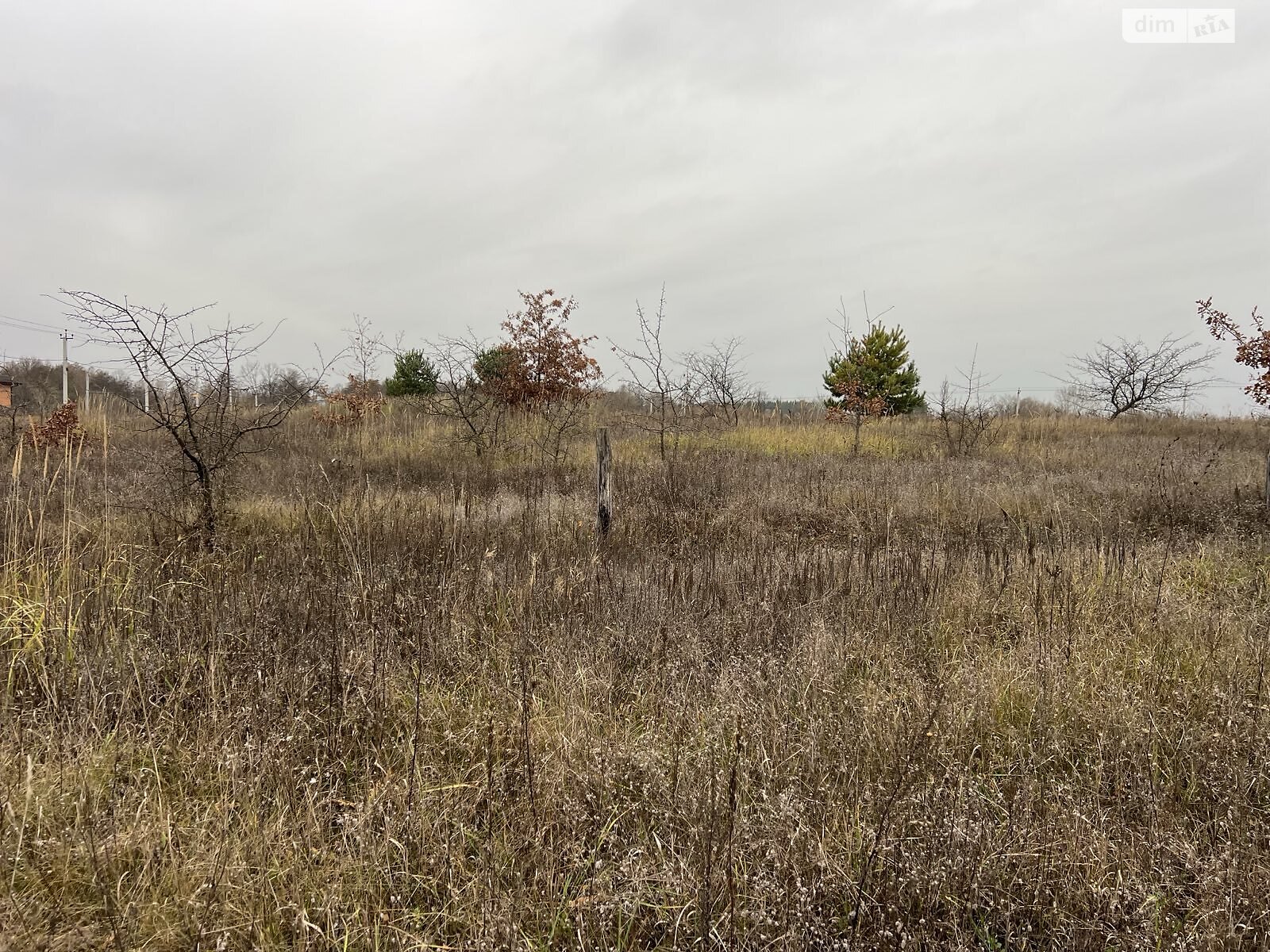 Земельный участок под жилую застройку в Гостомеле, площадь 12 соток фото 1