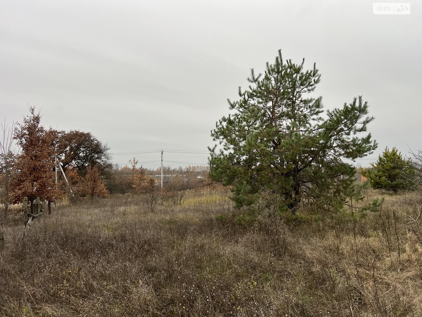 Земельный участок под жилую застройку в Гостомеле, площадь 12 соток фото 1