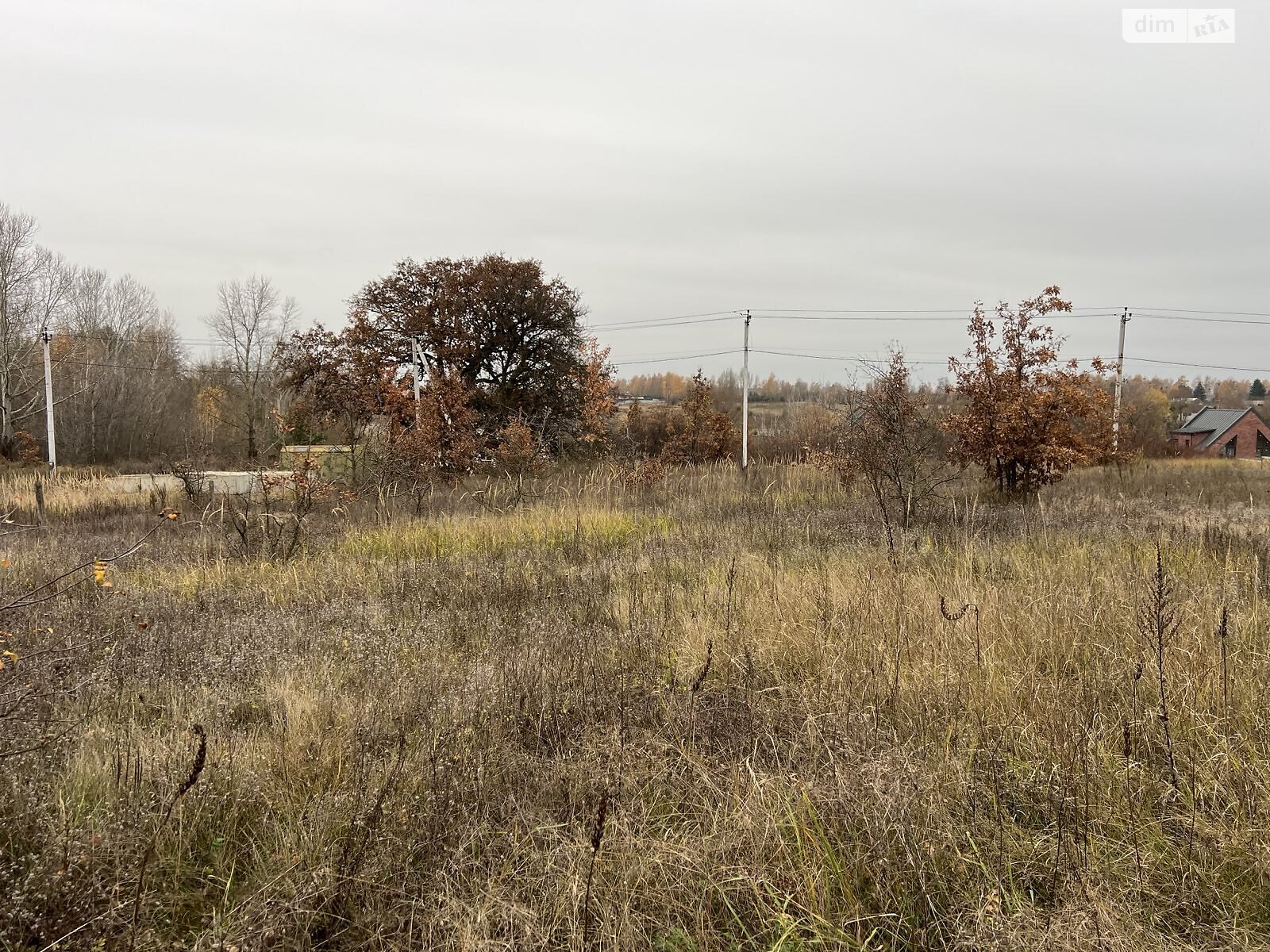 Земельный участок под жилую застройку в Гостомеле, площадь 12 соток фото 1