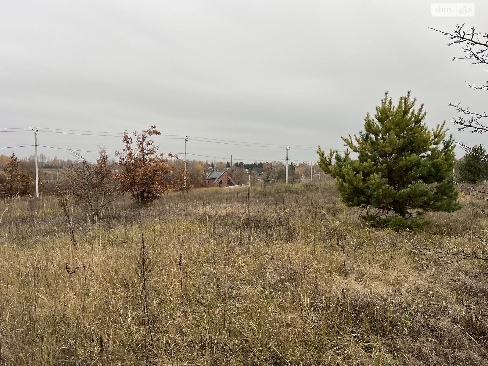 Земельный участок под жилую застройку в Гостомеле, площадь 12 соток фото 1