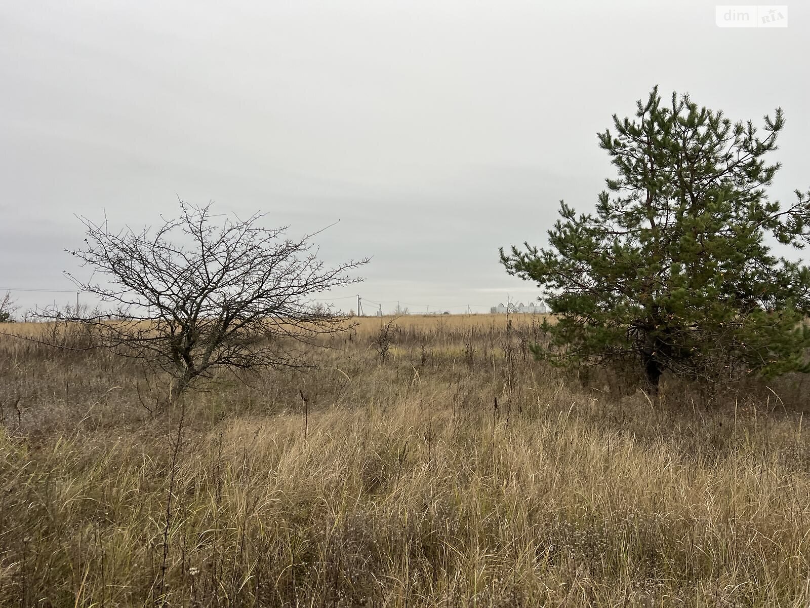 Земельный участок под жилую застройку в Гостомеле, площадь 12 соток фото 1
