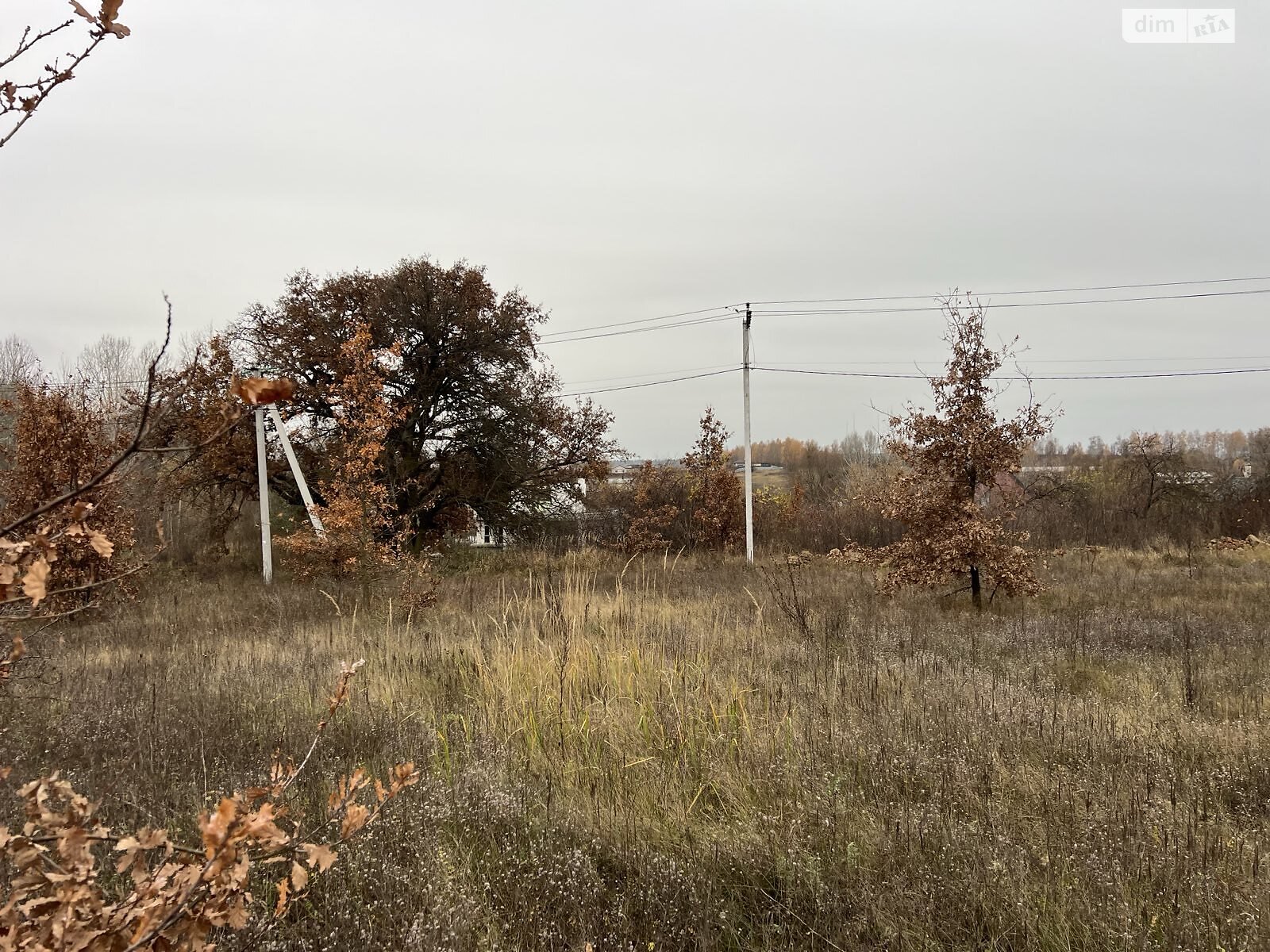 Земельный участок под жилую застройку в Гостомеле, площадь 12 соток фото 1