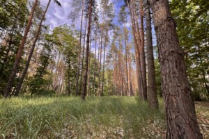 Земельна ділянка під житлову забудову в Гостомелі, площа 9.97 сотки фото 2