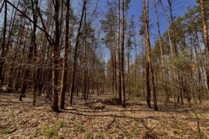 Земельный участок под жилую застройку в Гостомеле, площадь 10 соток фото 2