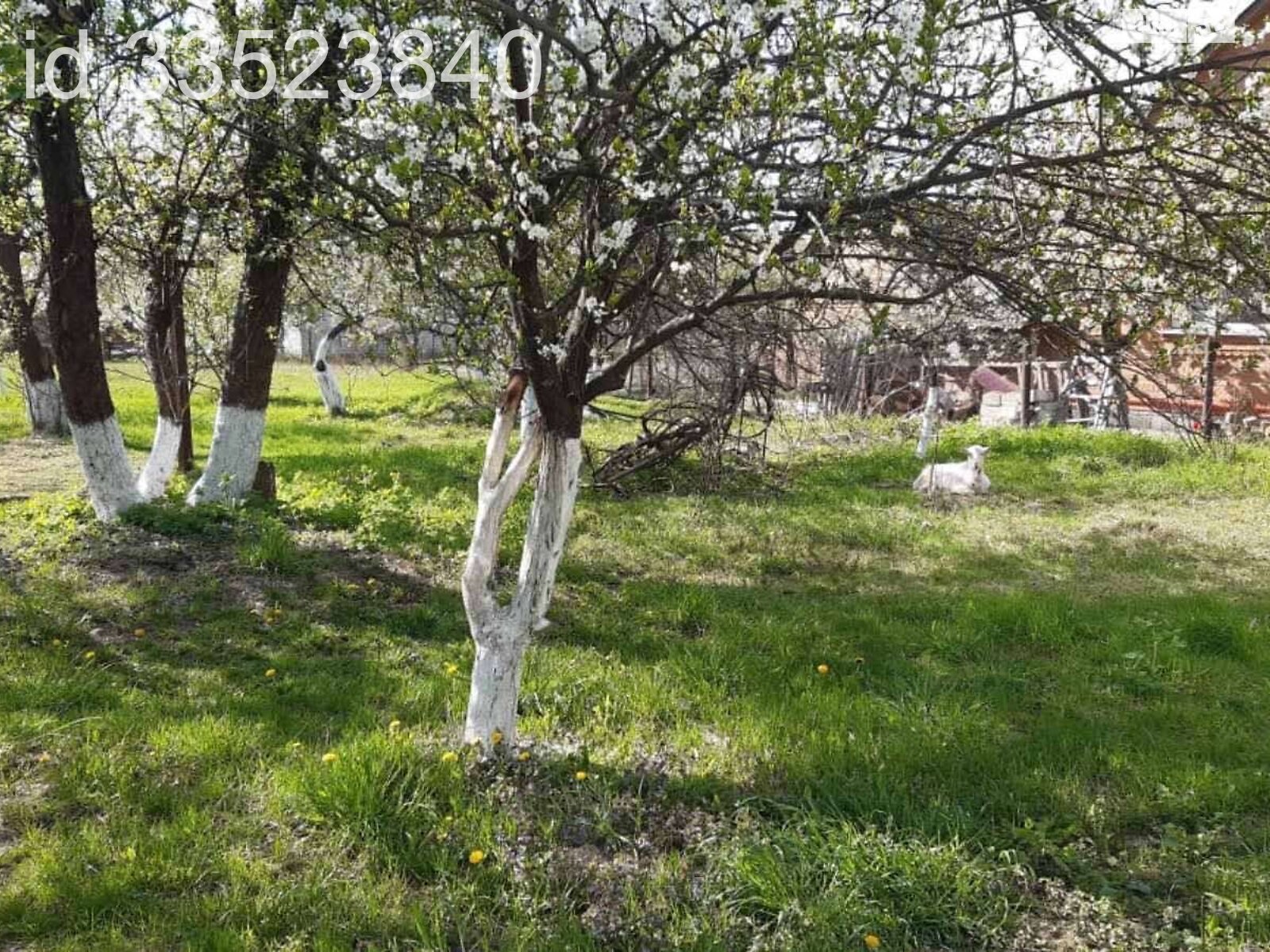 Земельный участок под жилую застройку в Гришковцах, площадь 15.55 сотки фото 1 Земельный участок под жилую застройку в Гришковцах, площадь 15.55 сотки фото 1