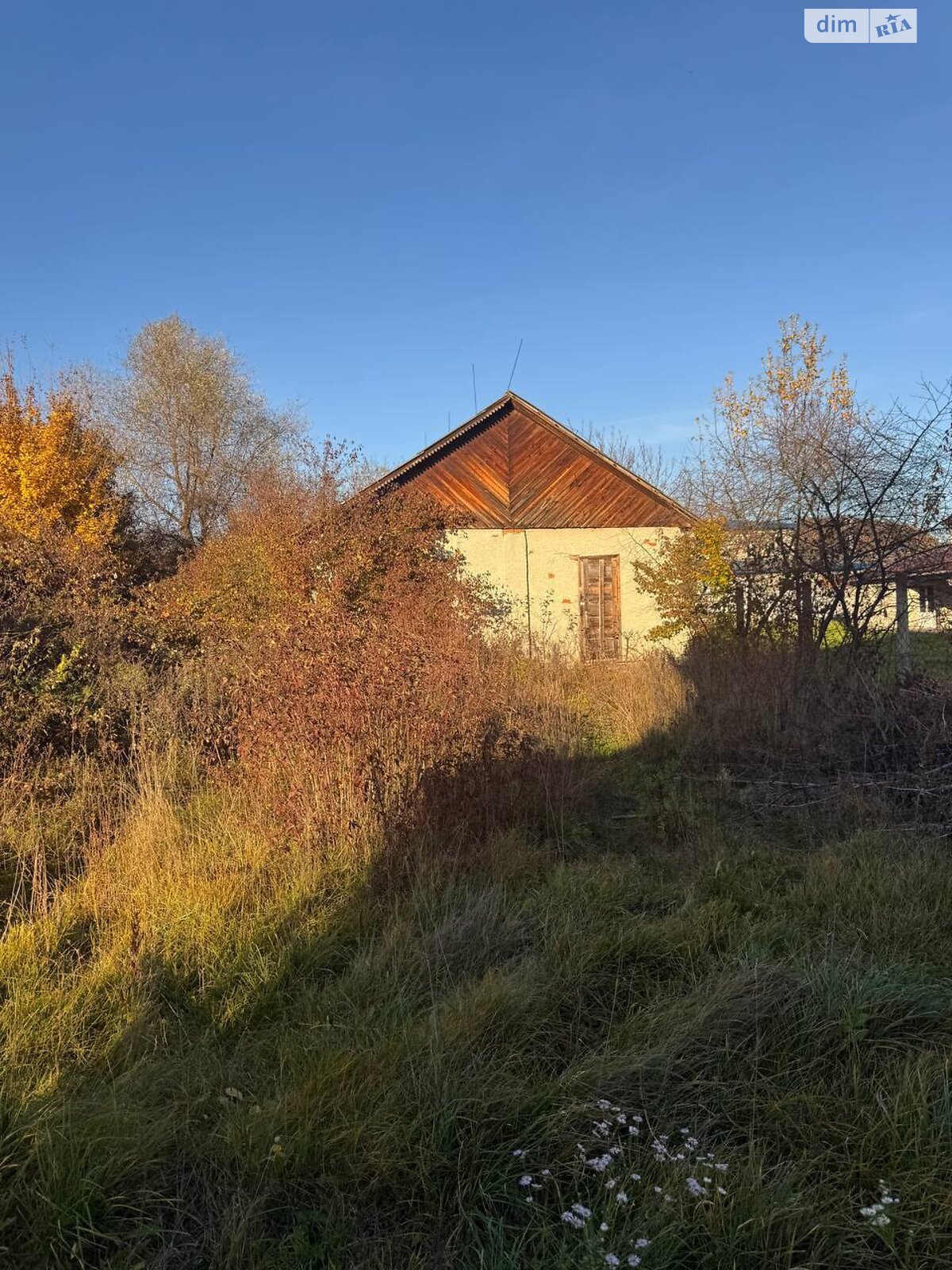 Земельна ділянка під житлову забудову в Грушево, площа 42.46 сотки фото 1 Земельна ділянка під житлову забудову в Грушево, площа 42.46 сотки фото 1