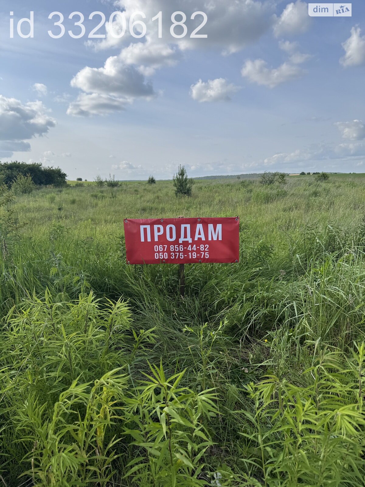 Земельна ділянка під житлову забудову в Грушвиці Першій, площа 25 соток фото 1 Земельна ділянка під житлову забудову в Грушвиці Першій, площа 25 соток фото 1