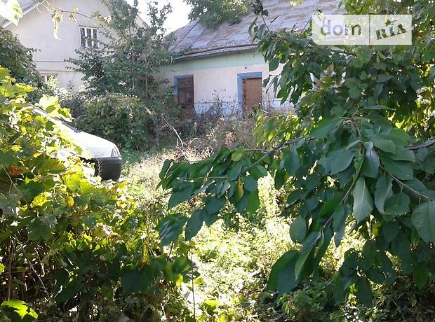 Земля под жилую застройку в селе Хоростков, площадь 75 соток фото 1 Земля под жилую застройку в селе Хоростков, площадь 75 соток фото 1