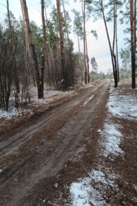 Земельный участок под жилую застройку в Гуте-Катюжанской, площадь 51.94 сотки фото 2