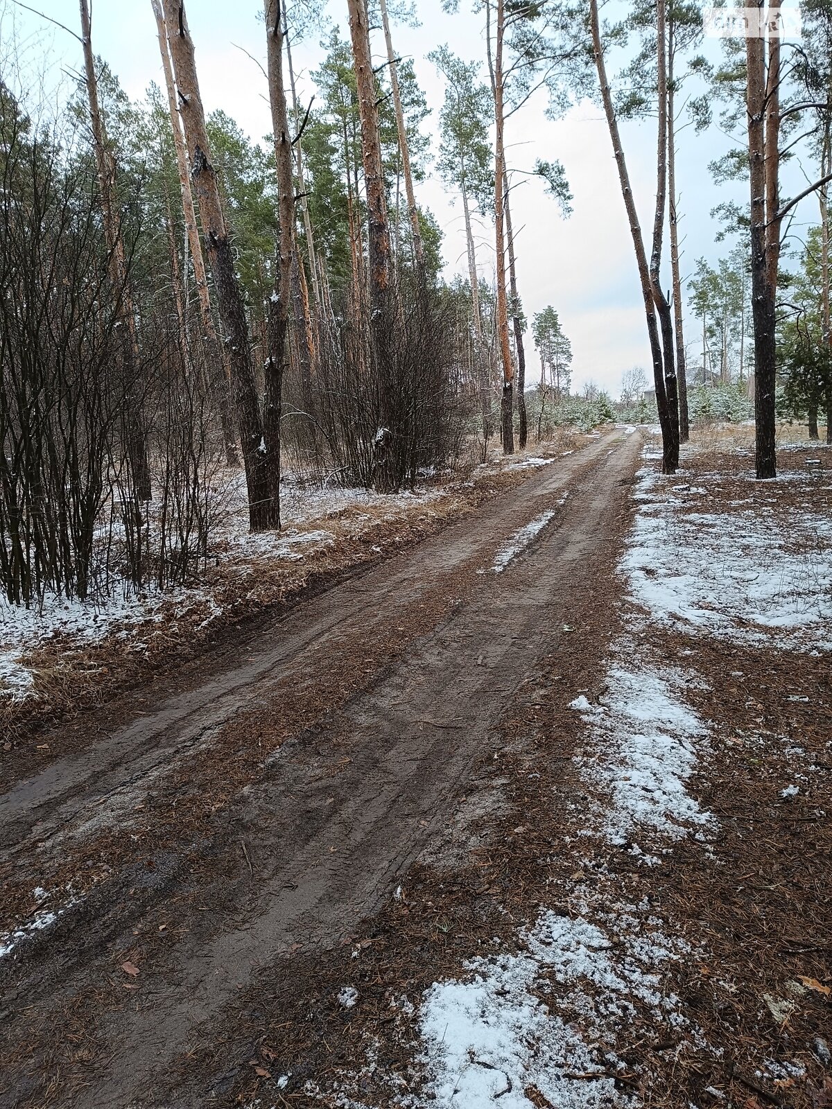 Земельный участок под жилую застройку в Гуте-Катюжанской, площадь 51.94 сотки фото 1 Земельный участок под жилую застройку в Гуте-Катюжанской, площадь 51.94 сотки фото 1