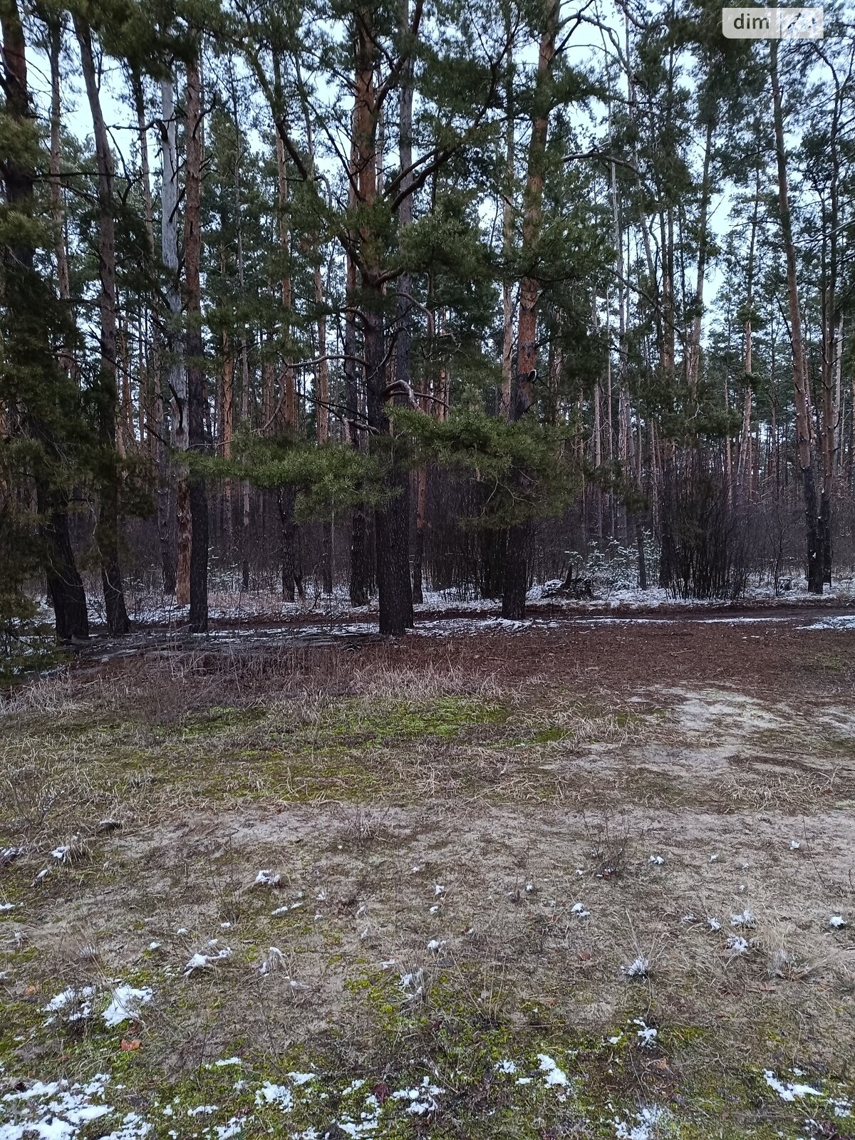 Земельный участок под жилую застройку в Гуте-Катюжанской, площадь 51.94 сотки фото 1 Земельный участок под жилую застройку в Гуте-Катюжанской, площадь 51.94 сотки фото 1