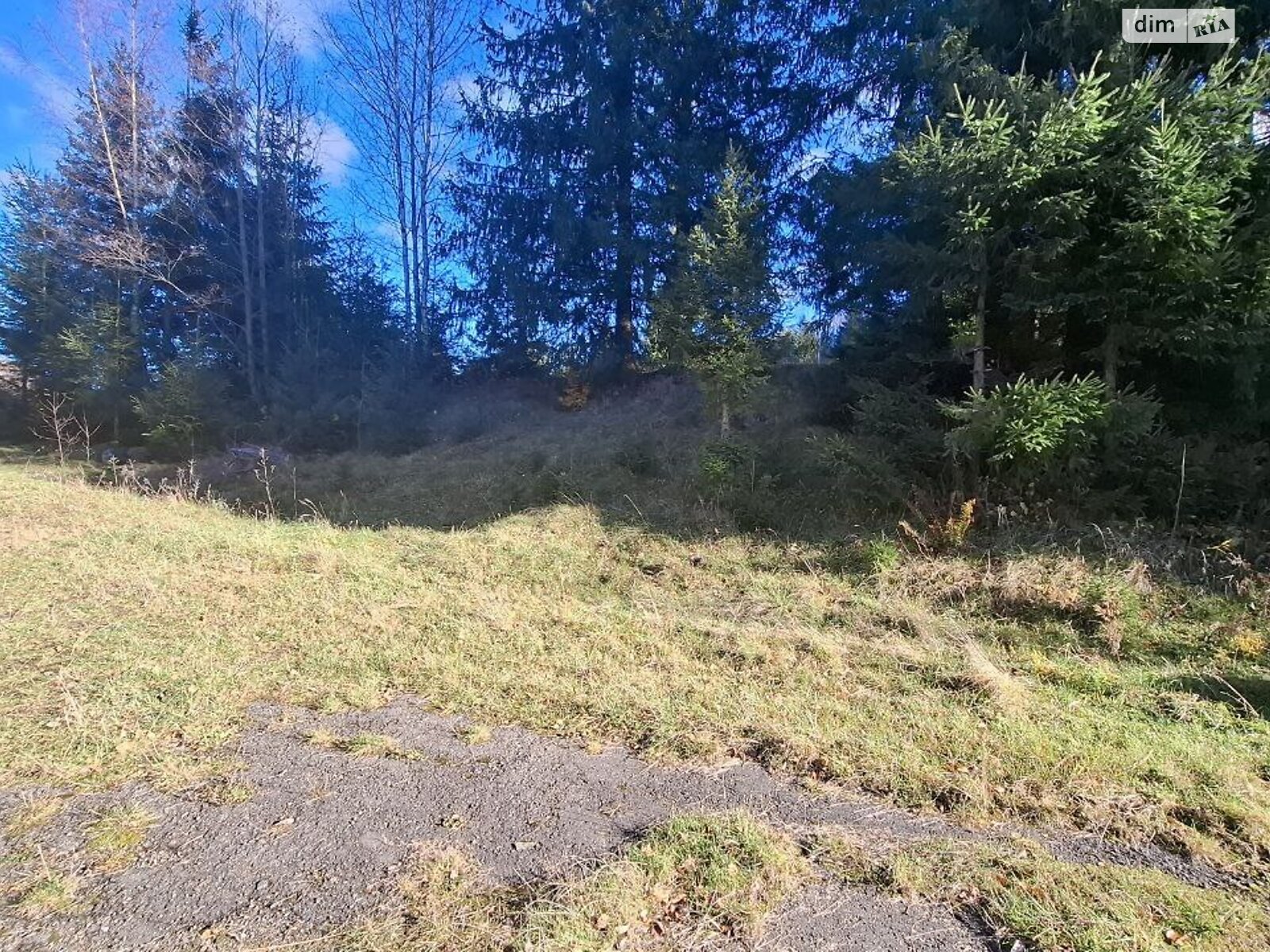 Земельный участок под жилую застройку в Гуте, площадь 7.87 сотки фото 1