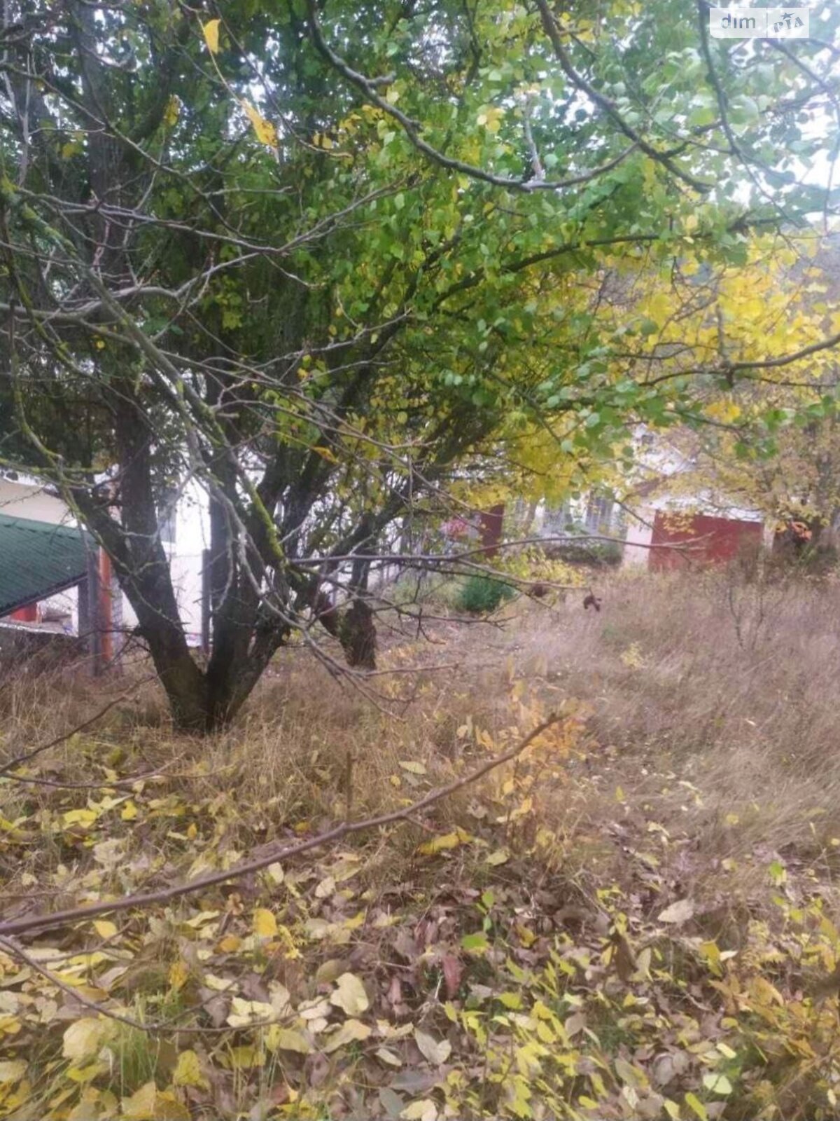 Земельна ділянка під житлову забудову в Гвоздові, площа 6 соток фото 1 Земельна ділянка під житлову забудову в Гвоздові, площа 6 соток фото 1