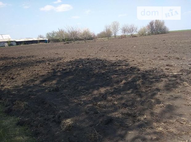 Земля под жилую застройку в селе Комунар, площадь 15 соток фото 1 Земля под жилую застройку в селе Комунар, площадь 15 соток фото 1