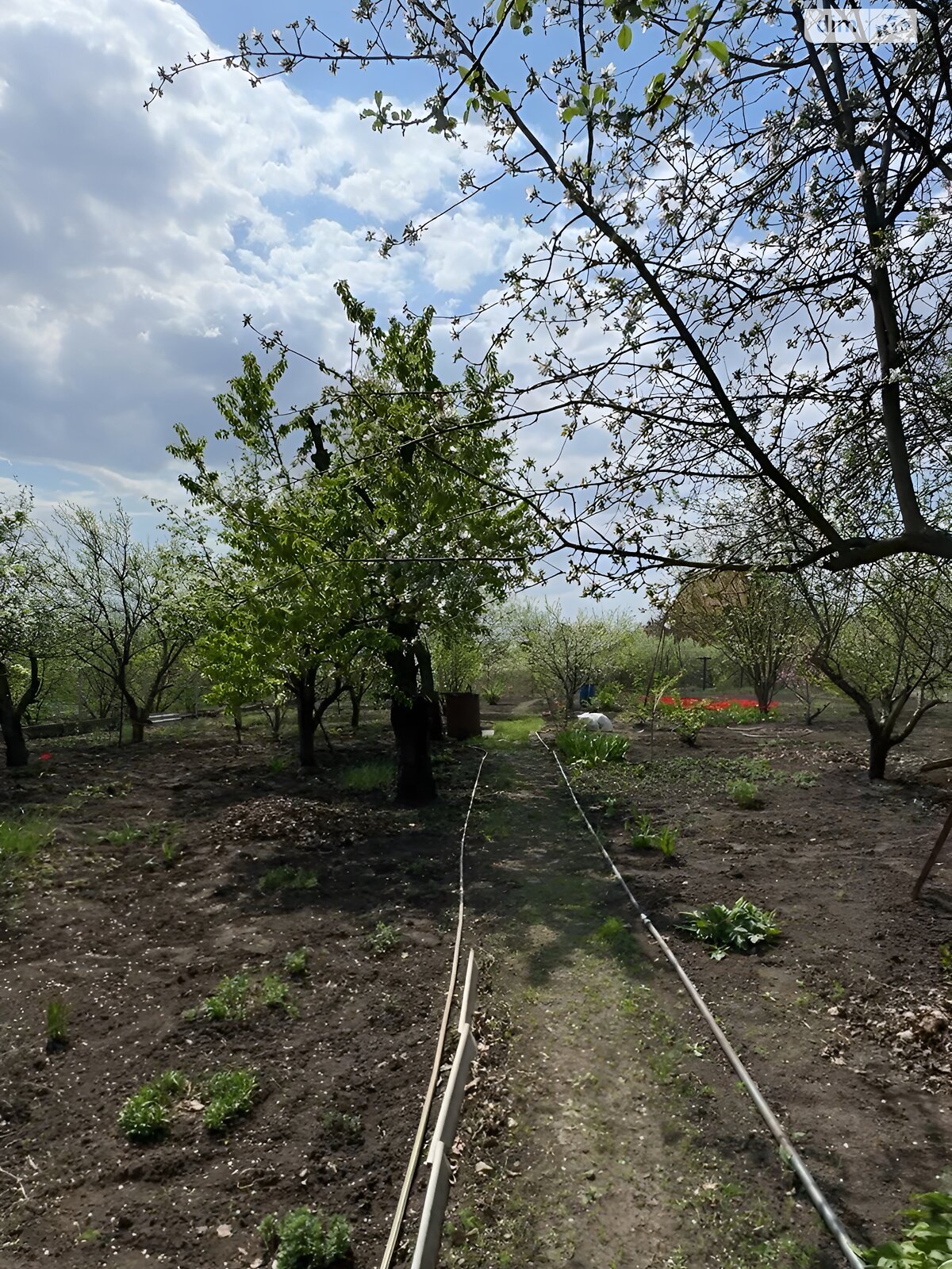 Земля под жилую застройку в Харькове, район Павленки, площадь 23 сотки фото 1 Земля под жилую застройку в Харькове, район Павленки, площадь 23 сотки фото 1