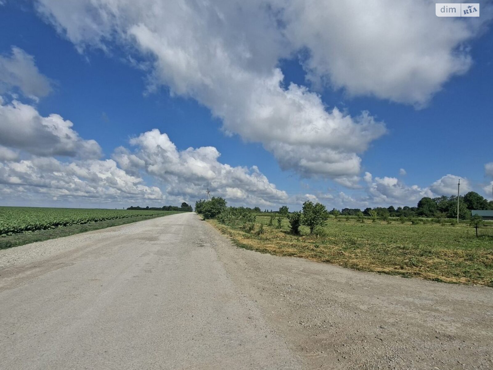 Земельна ділянка під житлову забудову в Хатки, площа 45 соток фото 1 Земельна ділянка під житлову забудову в Хатки, площа 45 соток фото 1