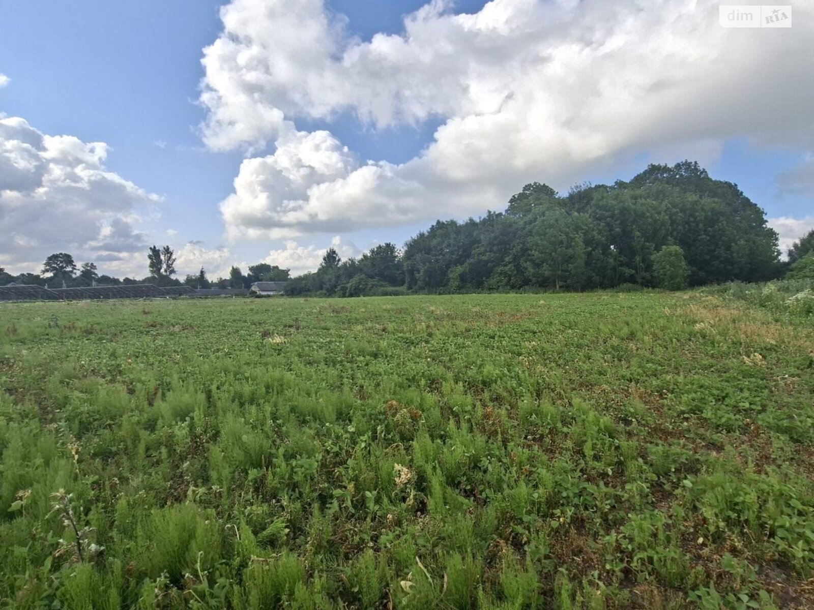 Земельна ділянка під житлову забудову в Хатки, площа 45 соток фото 1 Земельна ділянка під житлову забудову в Хатки, площа 45 соток фото 1