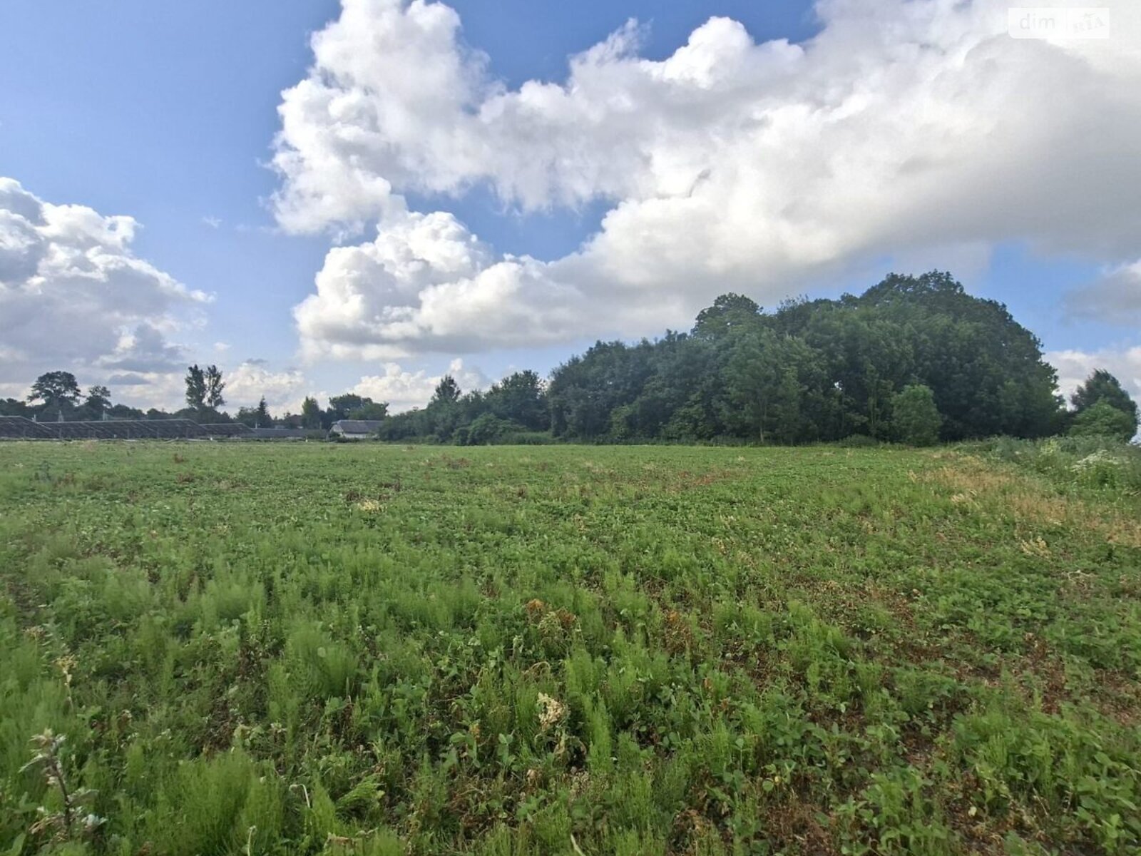 Земельна ділянка під житлову забудову в Хатки, площа 45 соток фото 1 Земельна ділянка під житлову забудову в Хатки, площа 45 соток фото 1