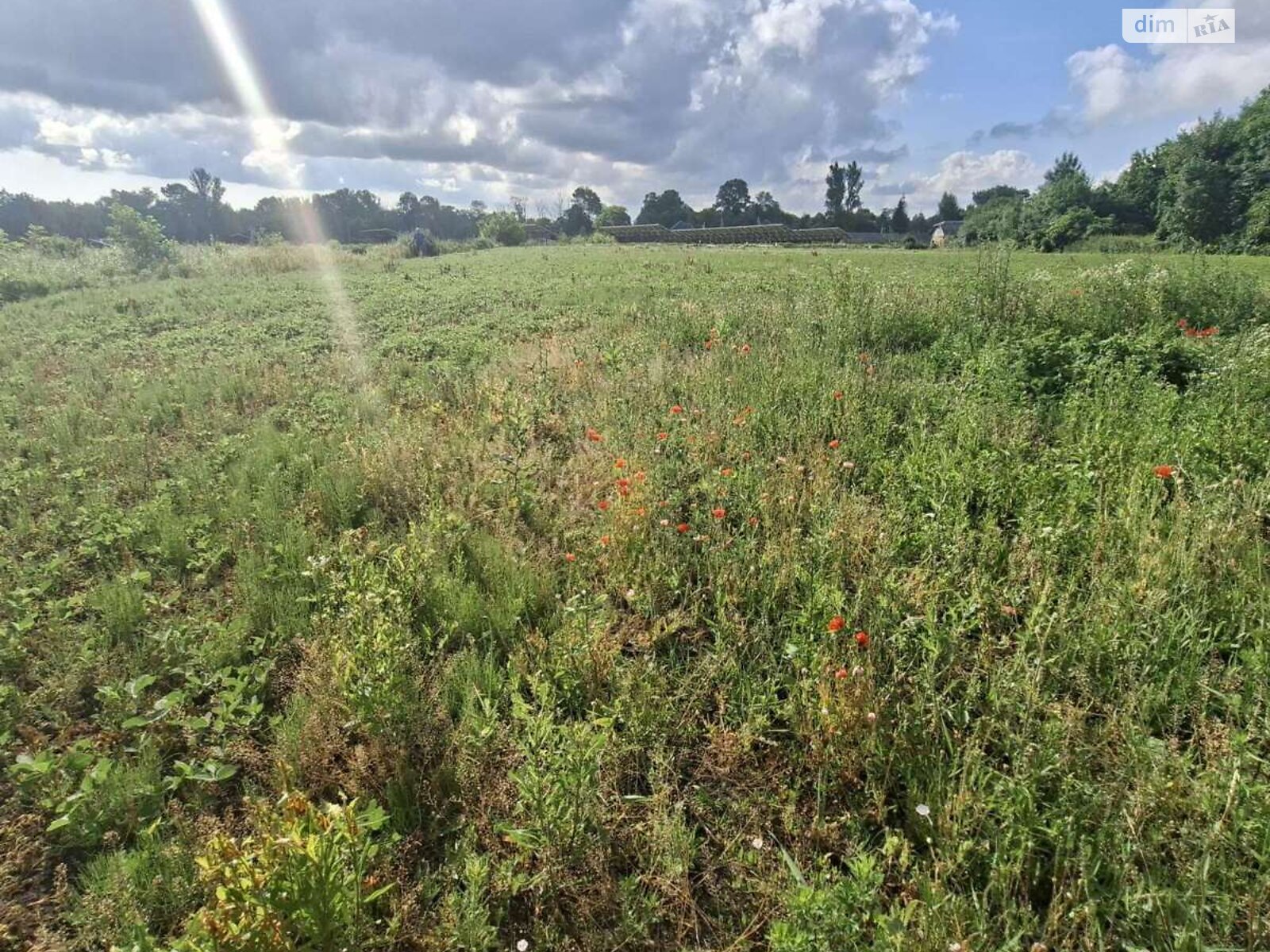 Земельна ділянка під житлову забудову в Хатки, площа 45 соток фото 1 Земельна ділянка під житлову забудову в Хатки, площа 45 соток фото 1