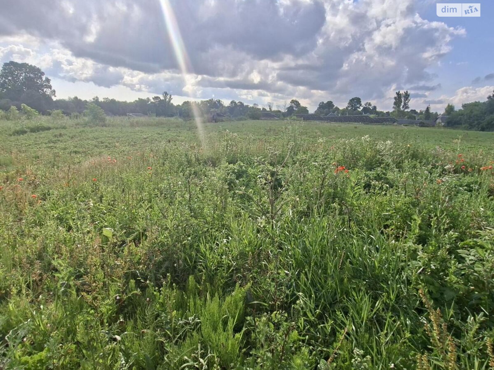 Земельна ділянка під житлову забудову в Хатки, площа 45 соток фото 1 Земельна ділянка під житлову забудову в Хатки, площа 45 соток фото 1