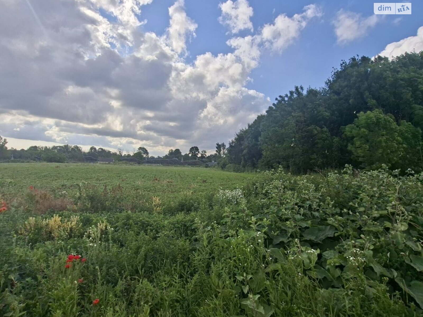 Земельна ділянка під житлову забудову в Хатки, площа 45 соток фото 1 Земельна ділянка під житлову забудову в Хатки, площа 45 соток фото 1