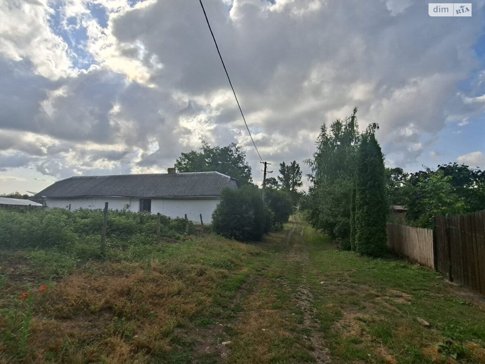 Земельна ділянка під житлову забудову в Хатки, площа 45 соток фото 1 Земельна ділянка під житлову забудову в Хатки, площа 45 соток фото 1