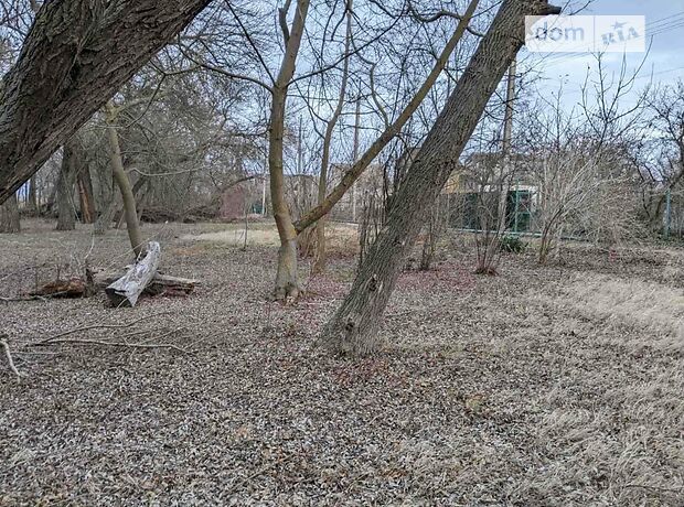 Земля под жилую застройку в селе Антоновка, площадь 10 соток фото 1 Земля под жилую застройку в селе Антоновка, площадь 10 соток фото 1