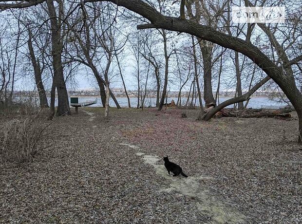 Земля под жилую застройку в селе Антоновка, площадь 10 соток фото 1 Земля под жилую застройку в селе Антоновка, площадь 10 соток фото 1