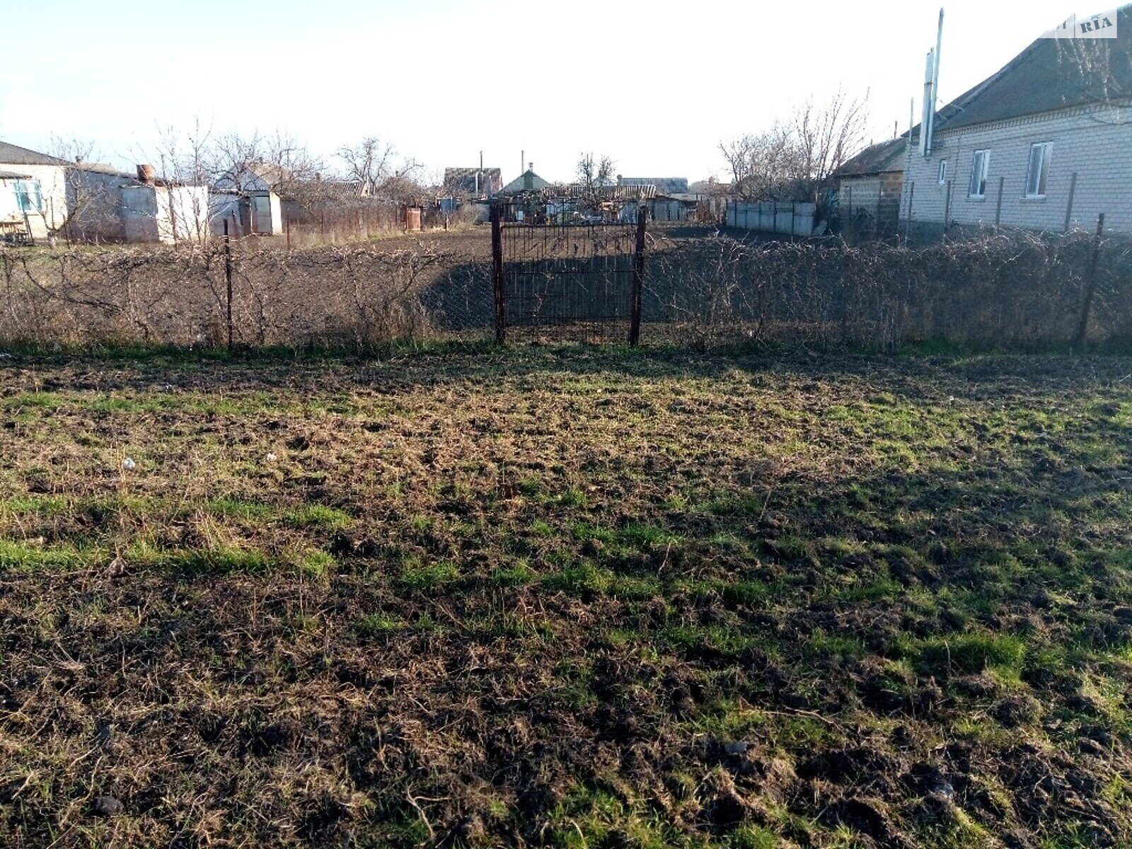 Земельна ділянка під житлову забудову в Чорнобаївці, площа 7 соток фото 1