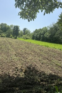 Земельна ділянка під житлову забудову в Хижинцях, площа 15.81 сотки фото 2