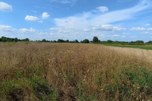 Земельна ділянка під житлову забудову в Хижинцях, площа 18.5 сотки фото 2