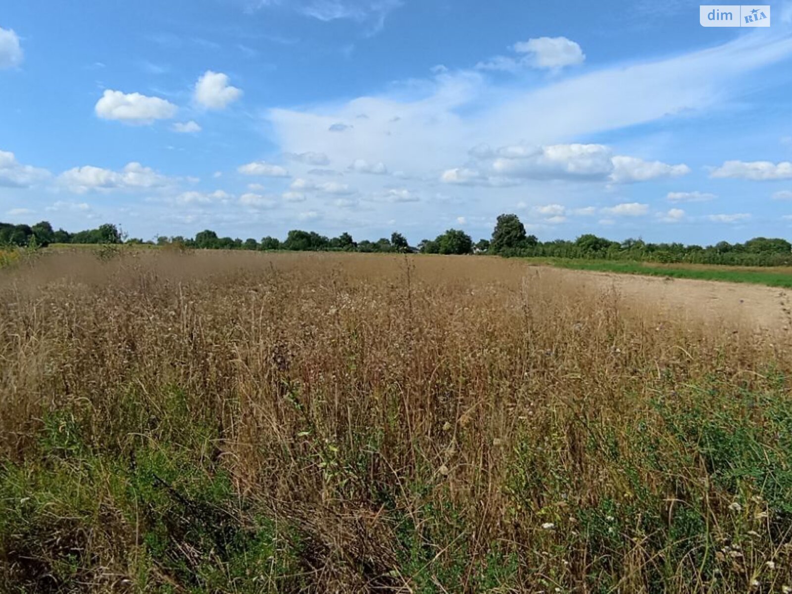 Земельна ділянка під житлову забудову в Хижинцях, площа 18.5 сотки фото 1