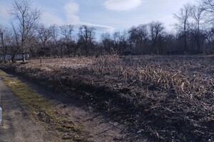 Земельный участок под жилую застройку в Хижинцах, площадь 16 соток фото 2