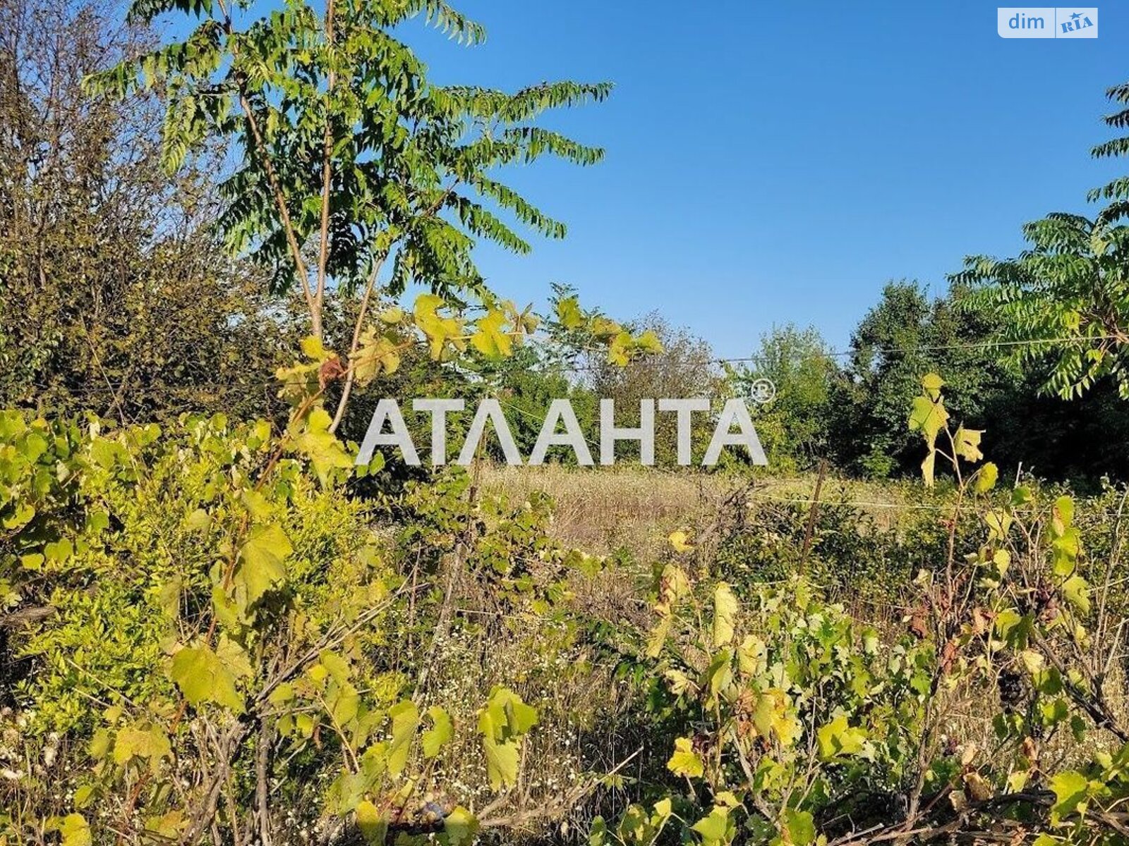 Земельна ділянка під житлову забудову в Хлібодарське, площа 9 соток фото 1