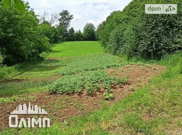 Земля под жилую застройку в Хмельнике, район Хмельник, площадь 62 сотки фото 1 Земля под жилую застройку в Хмельнике, район Хмельник, площадь 62 сотки фото 1