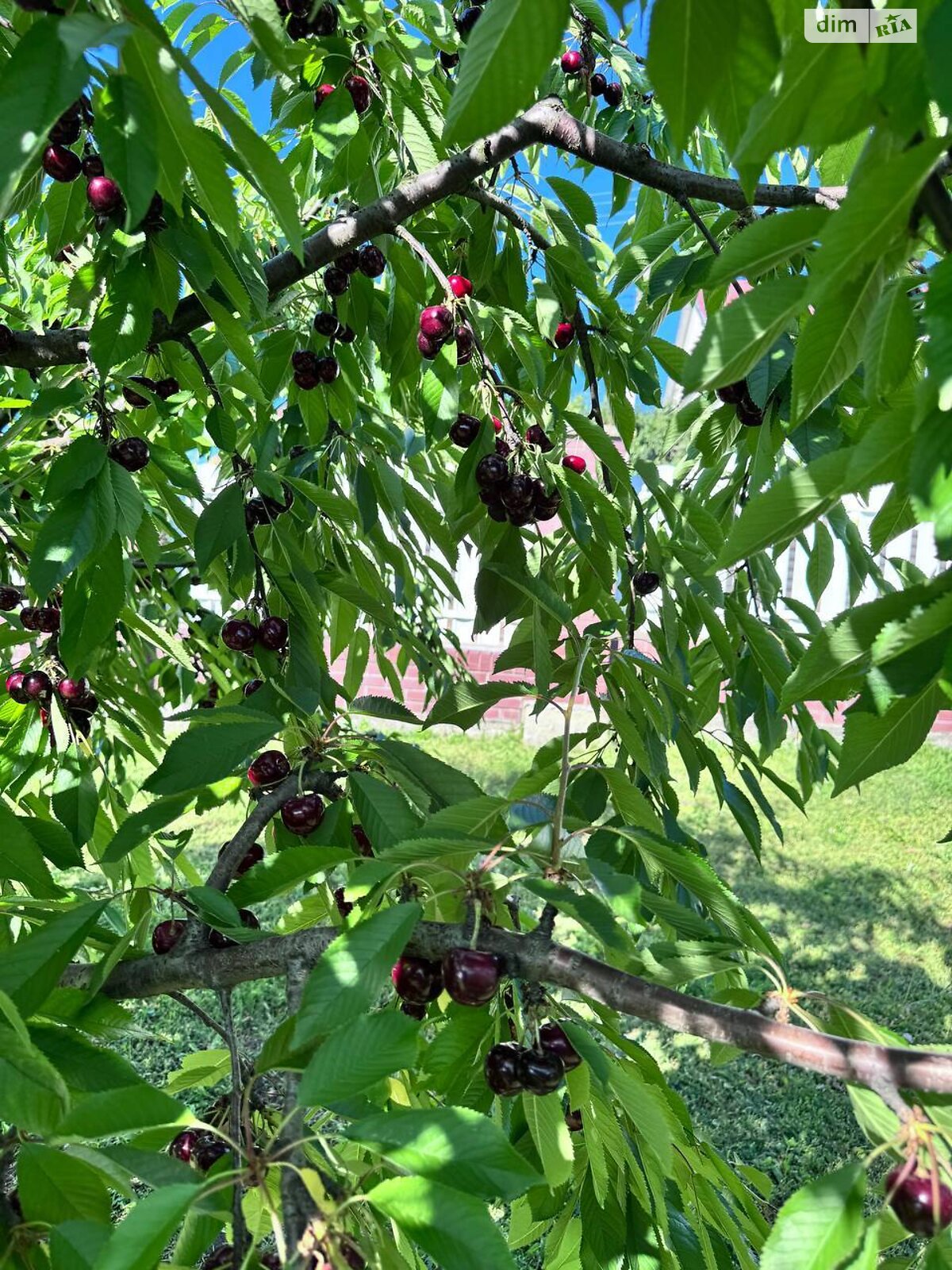 Земля под жилую застройку в Хмельницком, район Дивокрай, площадь 15 соток фото 1