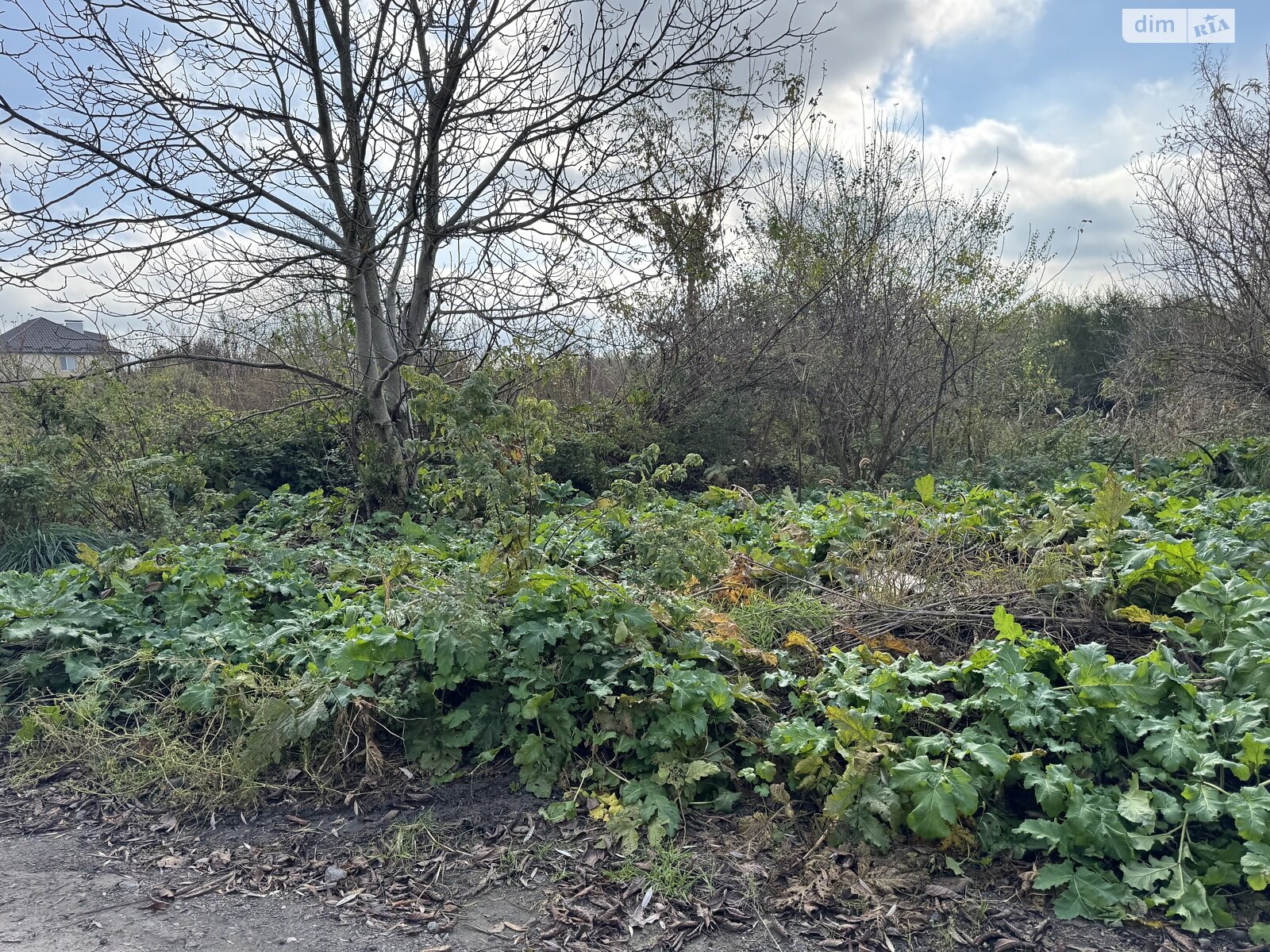 Земля під житлову забудову в Хмельницькому, район Дубове, площа 9 соток фото 1