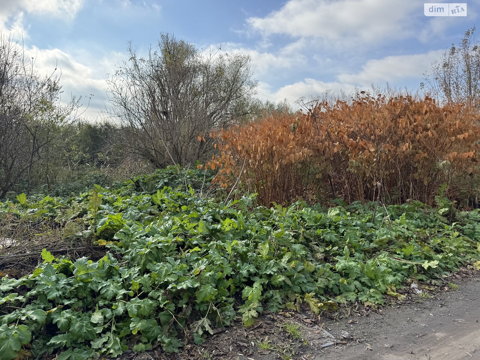 Земля під житлову забудову в Хмельницькому, район Дубове, площа 9 соток фото 1