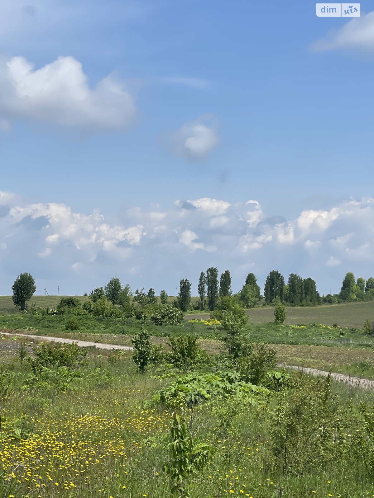 Земля під житлову забудову в Хмельницькому, район Гречани дальні, площа 6 соток фото 1 Земля під житлову забудову в Хмельницькому, район Гречани дальні, площа 6 соток фото 1