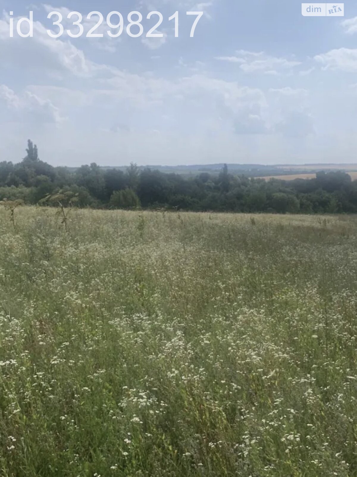Земельный участок под жилую застройку в Грузевице, площадь 0.06 Га фото 1 Земельный участок под жилую застройку в Грузевице, площадь 0.06 Га фото 1