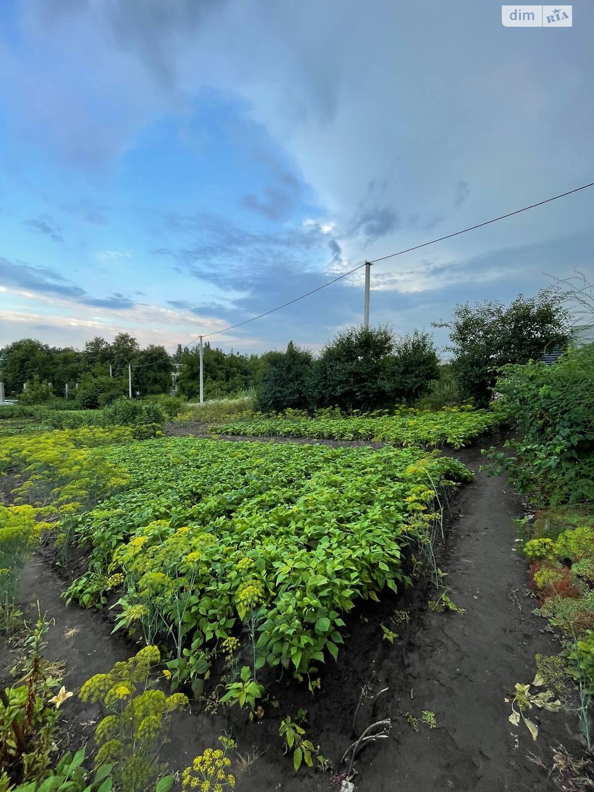 Земля под жилую застройку в Хмельницком, район Гречаны, площадь 15 соток фото 1 Земля под жилую застройку в Хмельницком, район Гречаны, площадь 15 соток фото 1